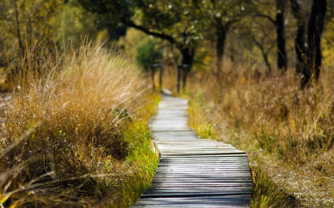 Découvrez la liste des randonnées de la région