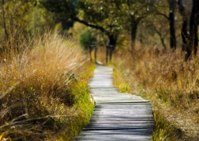 Discover the list of hikes in the region